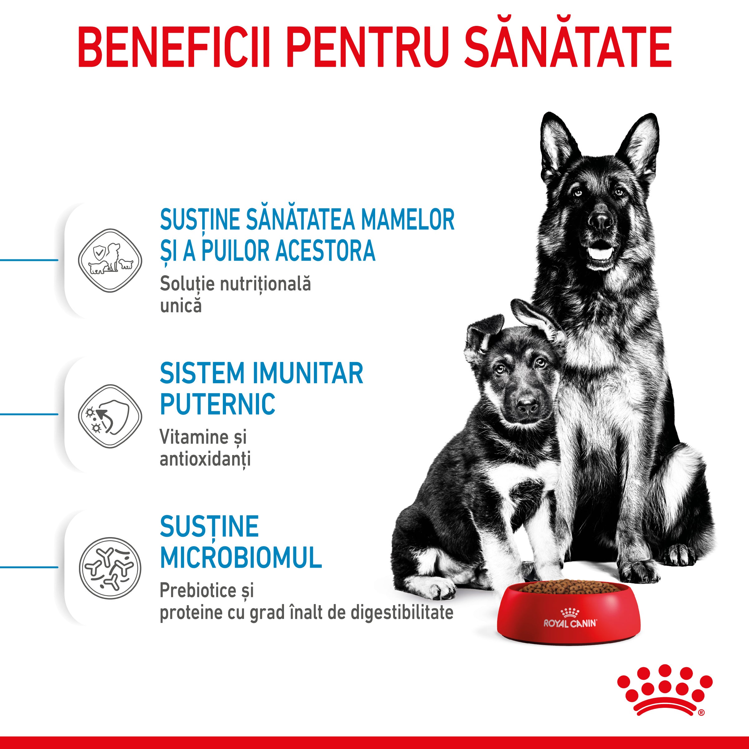 Royal Canin Maxi Starter Mother & Babydog, mama si puiul, hrana uscata caine 4kg