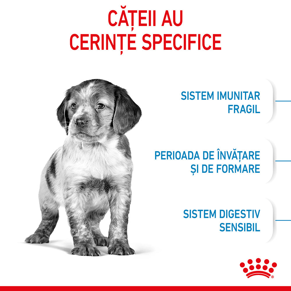 Royal Canin Medium Puppy hrana uscata caine junior