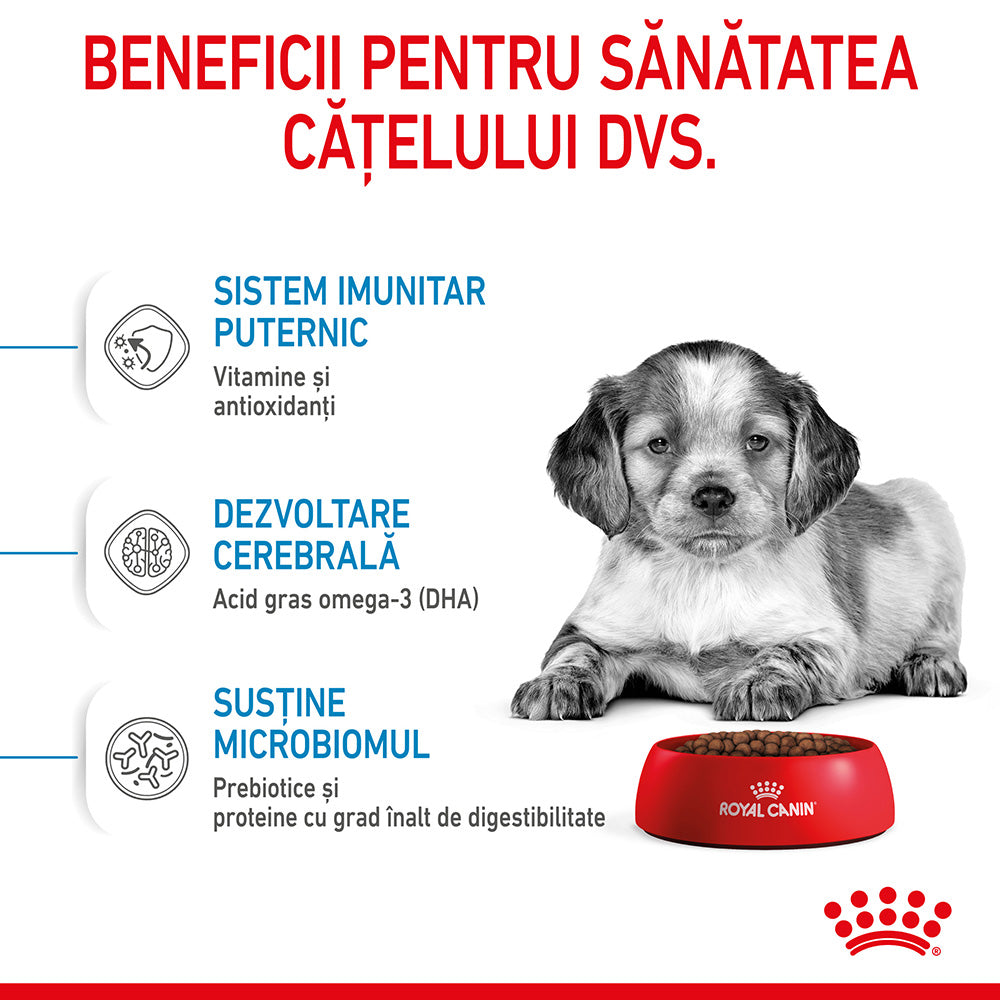 Royal Canin Medium Puppy hrana uscata caine junior