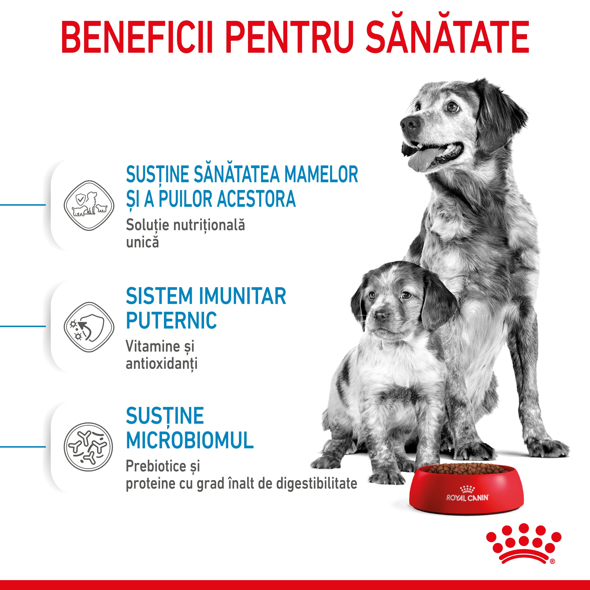 Royal Canin Medium Starter Mother & Babydog, mama si puiul, hrana uscata caine 4kg