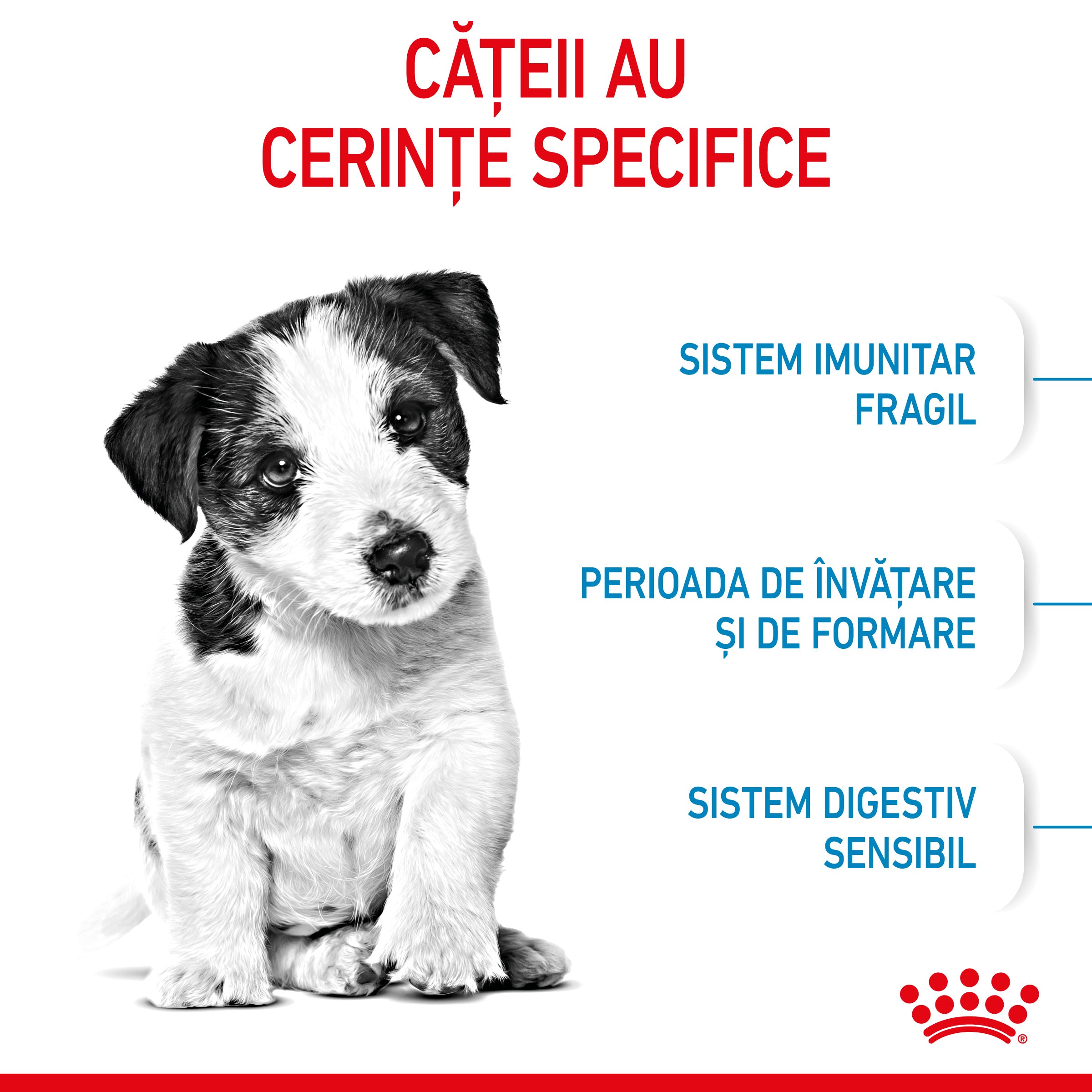 Royal Canin Mini Puppy hrana uscata caine junior