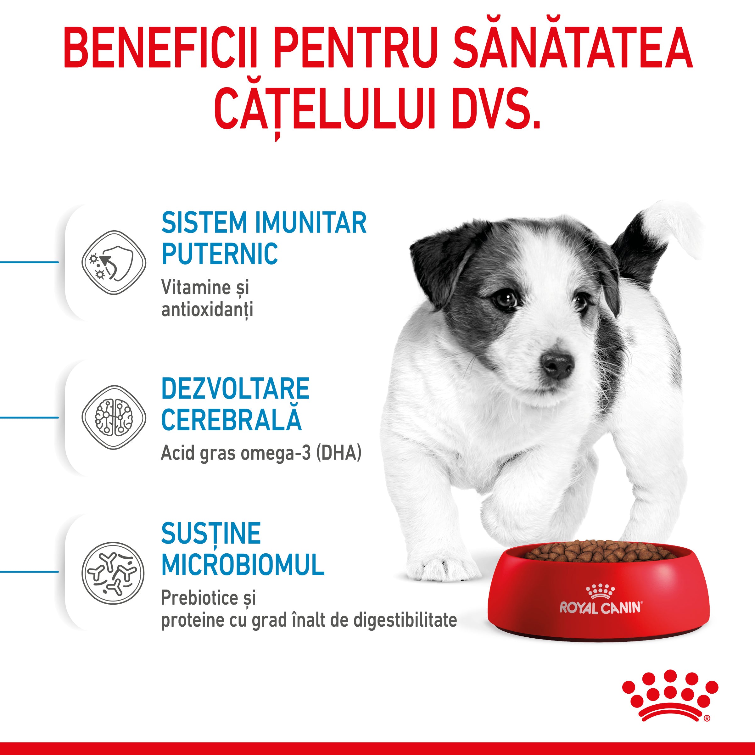 Royal Canin Mini Puppy hrana uscata caine junior