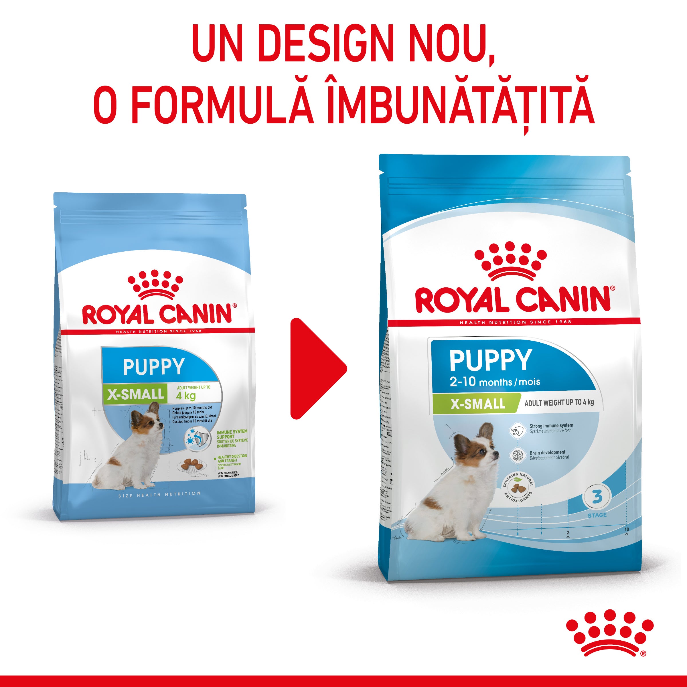 Royal Canin X-Small Puppy hrana uscata caine junior 1.5kg