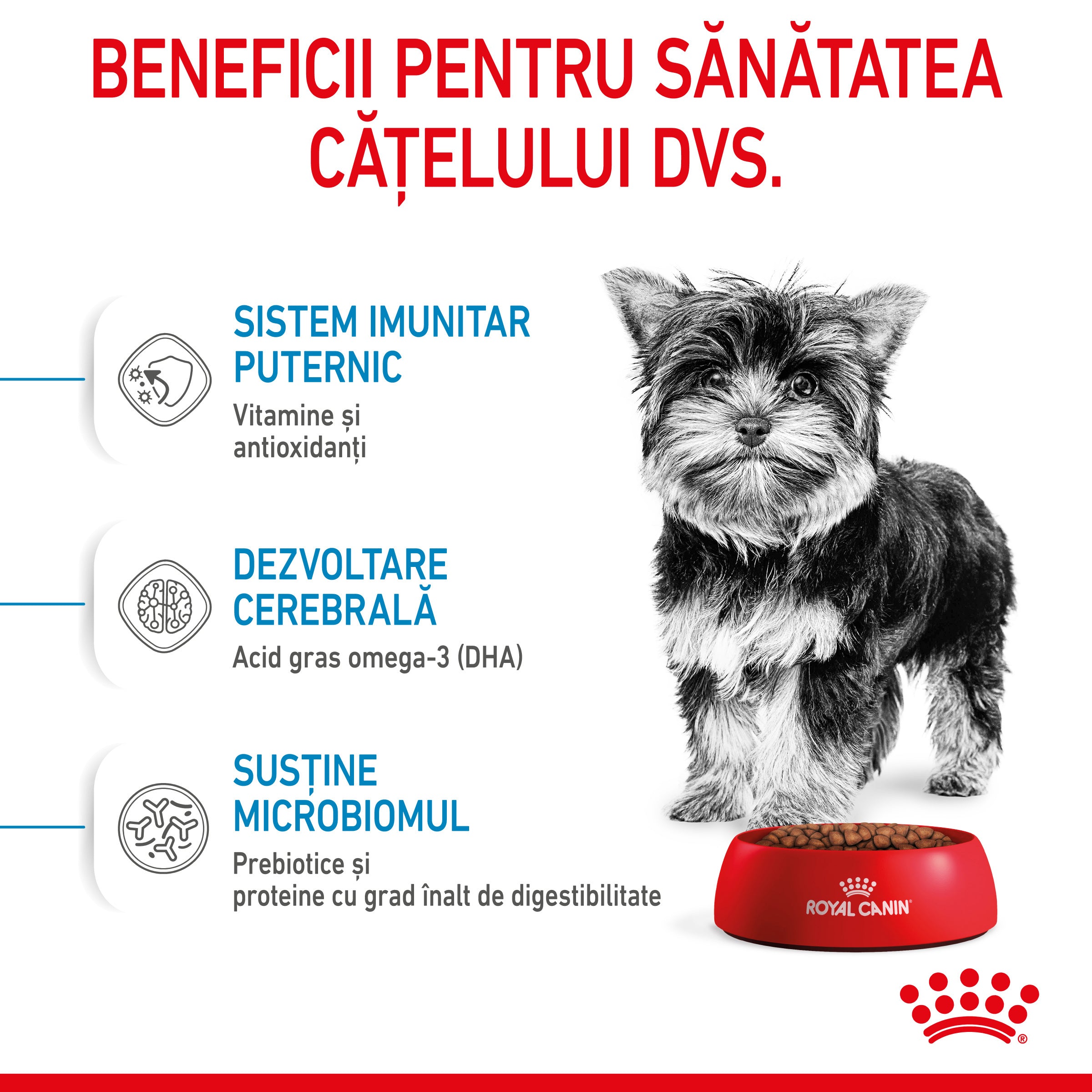 Royal Canin X-Small Puppy hrana uscata caine junior 1.5kg