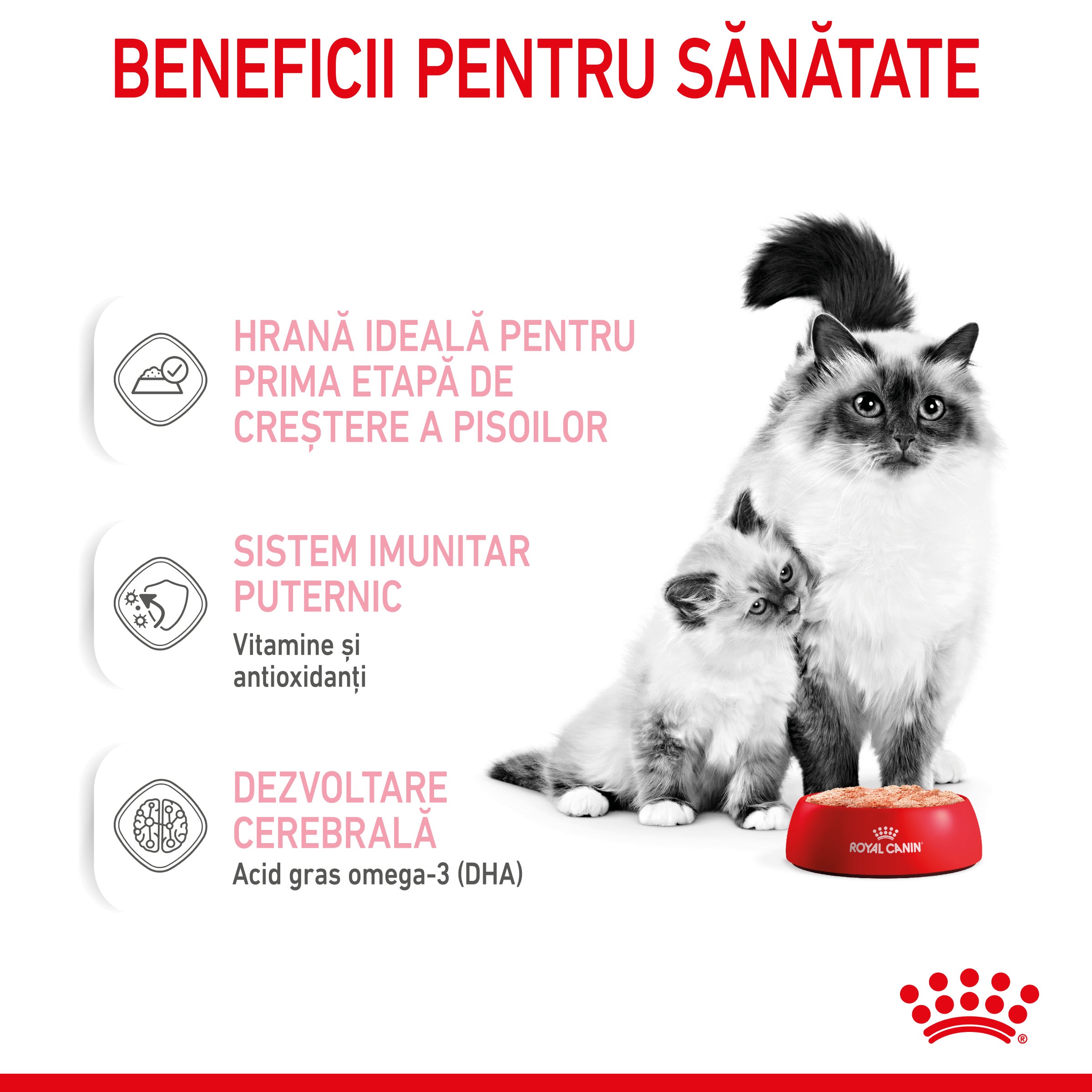 Royal Canin Mother & BabyCat hrana umeda pisica, mama si puiul 195g