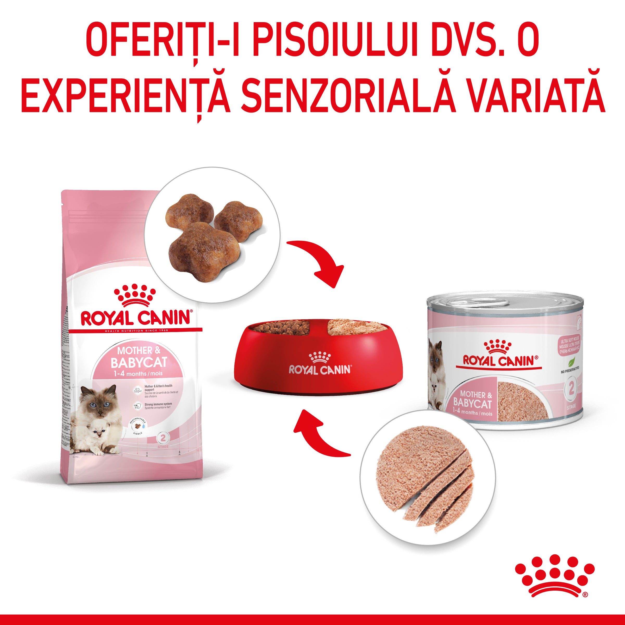 Royal Canin Mother & BabyCat hrana umeda pisica, mama si puiul 195g