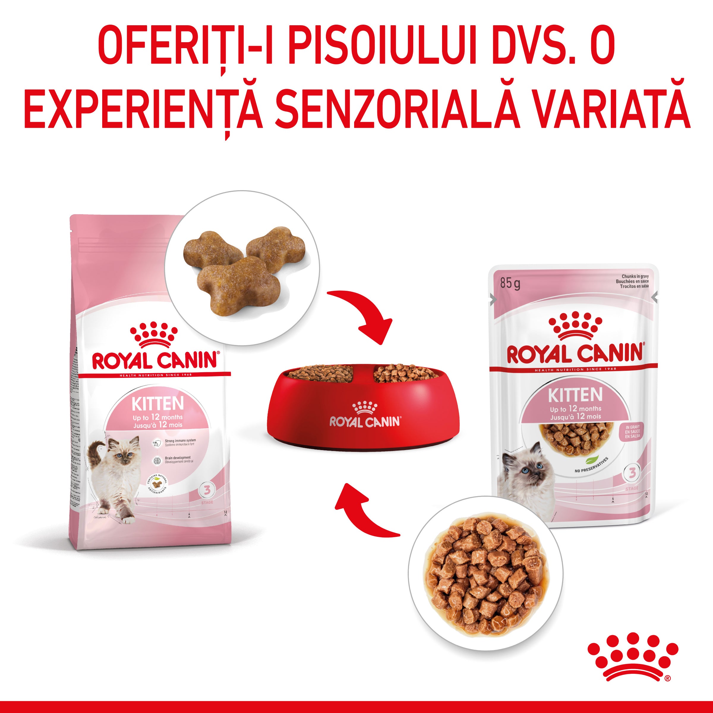 Royal Canin Kitten hrana umeda pisica junior (in sos)