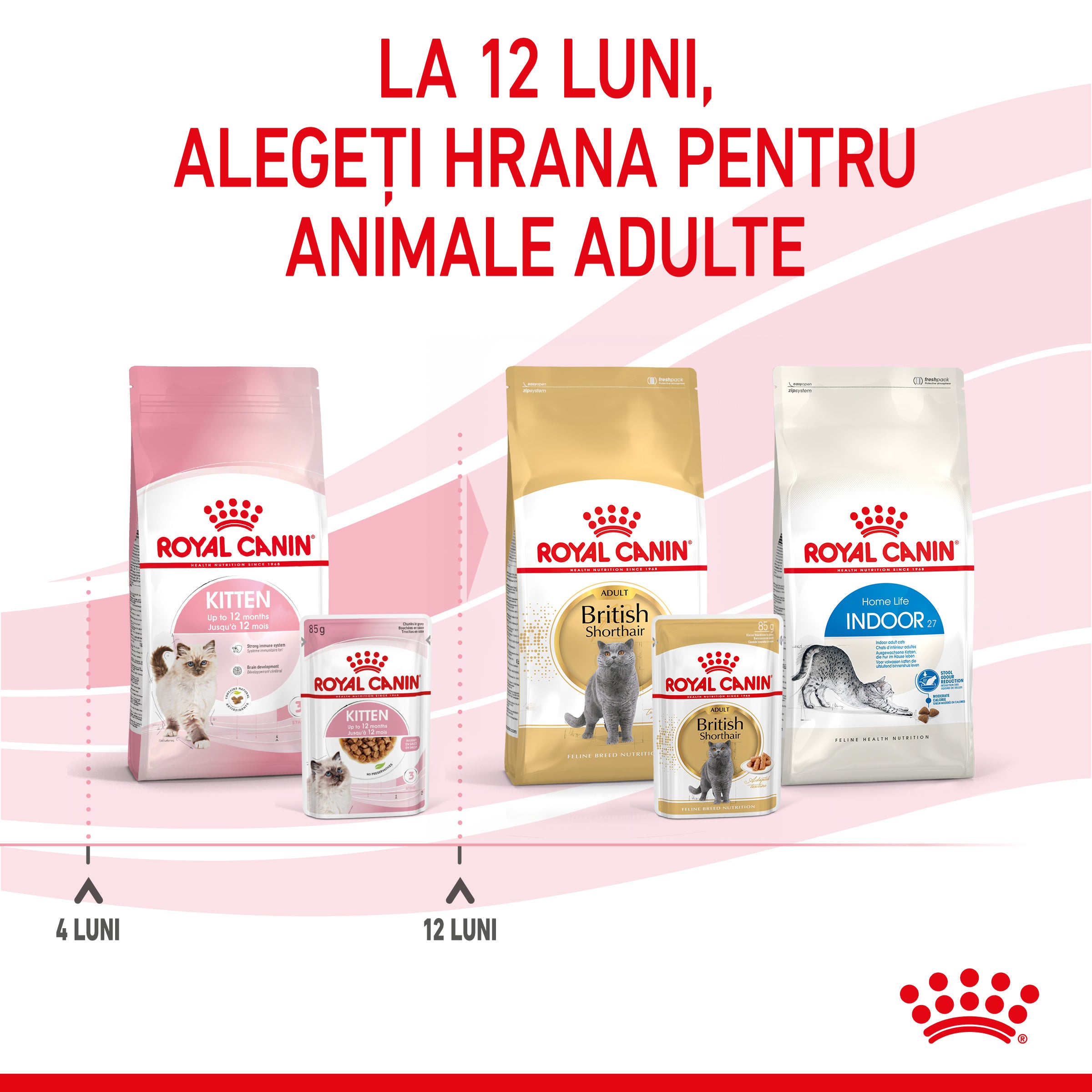 Royal Canin Kitten hrana umeda pisica junior (in sos)