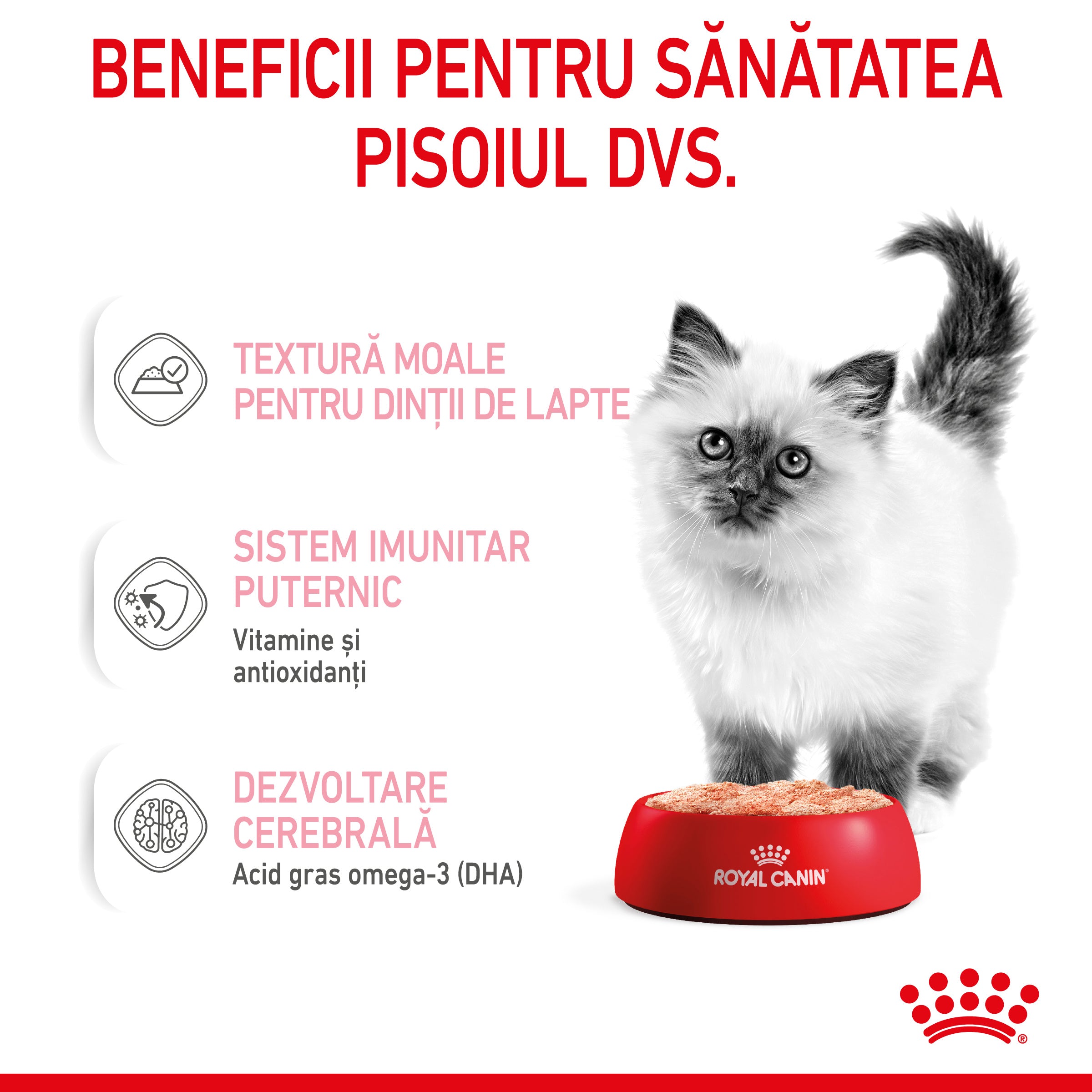 Royal Canin Kitten hrana umeda pisica junior (pate)