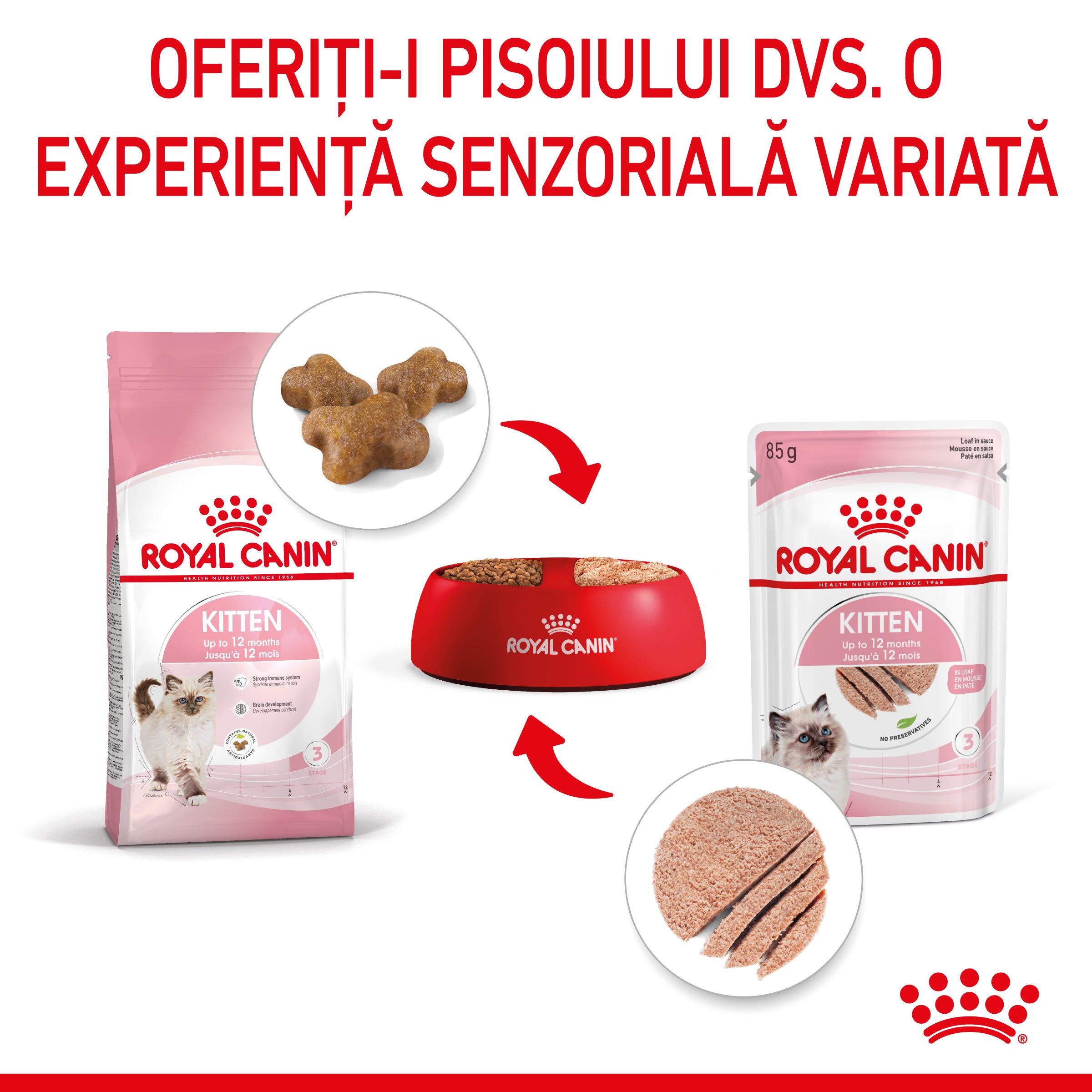 Royal Canin Kitten hrana umeda pisica junior (pate)