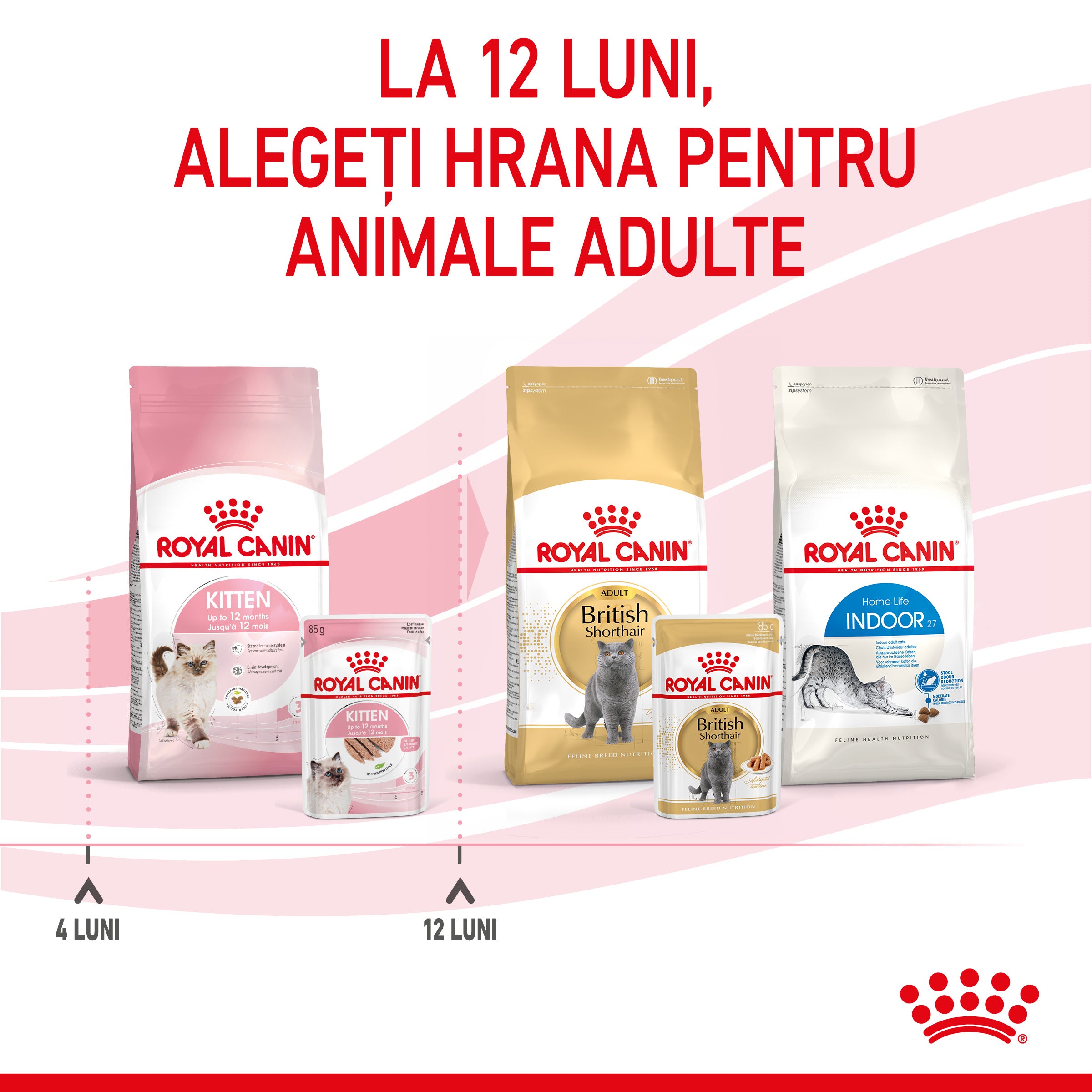 Royal Canin Kitten hrana umeda pisica junior (pate)