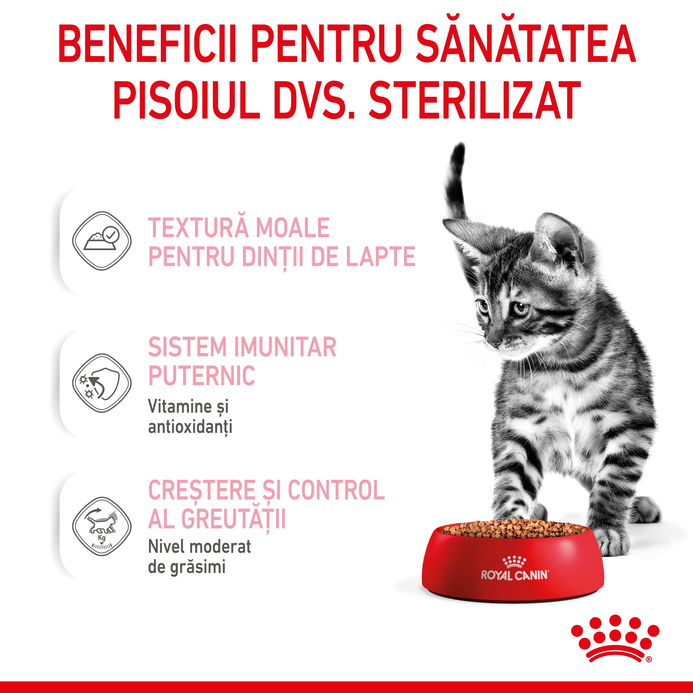 Royal Canin Kitten Sterilised hrana umeda pisica sterilizata junior (in sos),