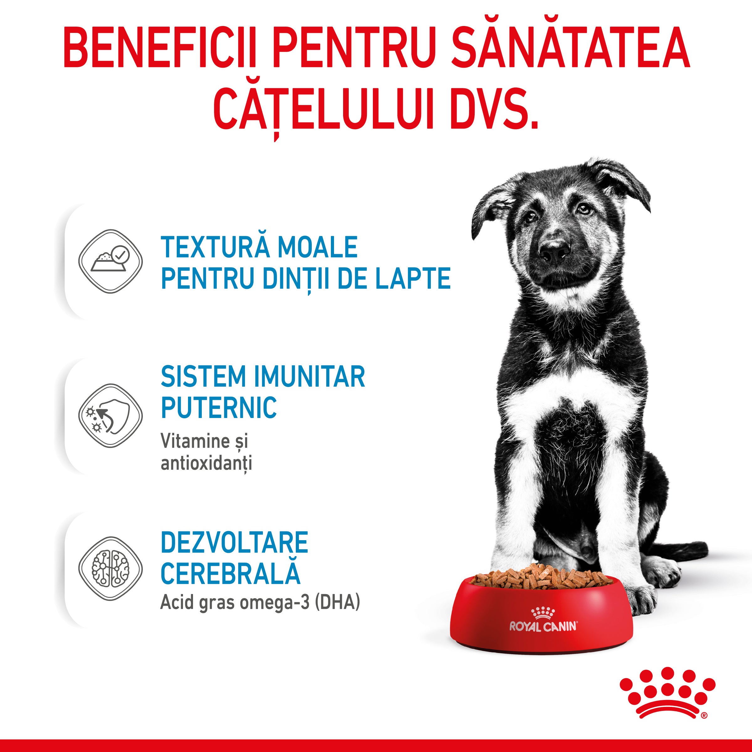 Royal Canin Maxi Puppy hrana umeda caine junior (in sos)