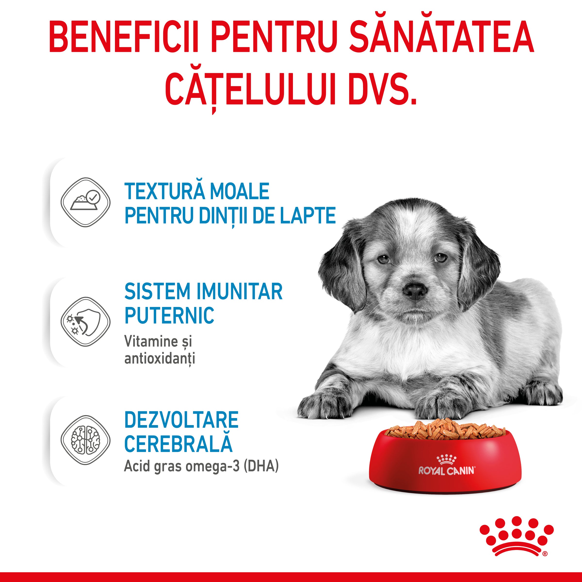 Royal Canin Medium Puppy hrana umeda caine junior (in sos)