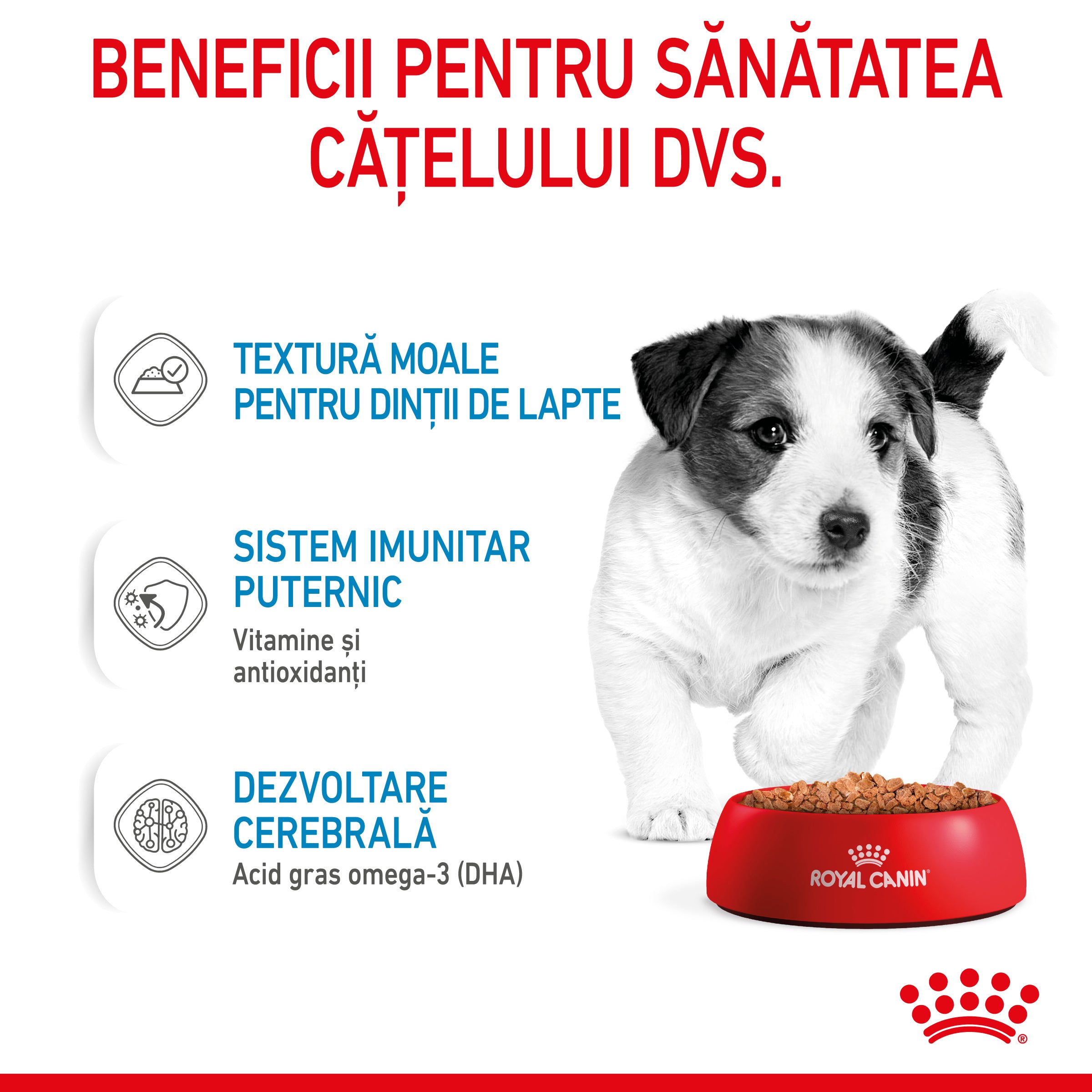 Royal Canin Mini Puppy hrana umeda caine junior (in sos),