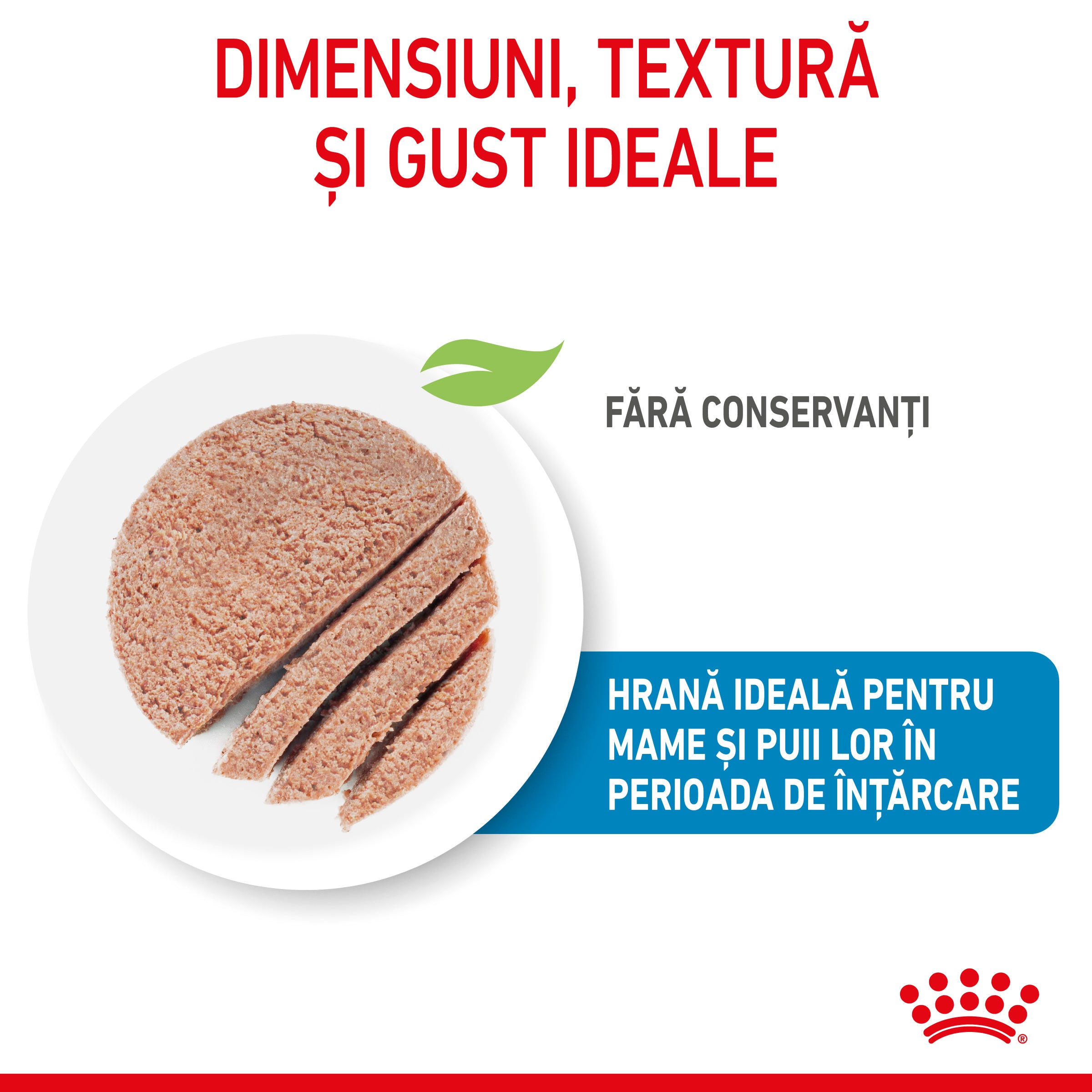 Royal Canin Starter Mousse, mama si puiul, hrana umeda caine 195g