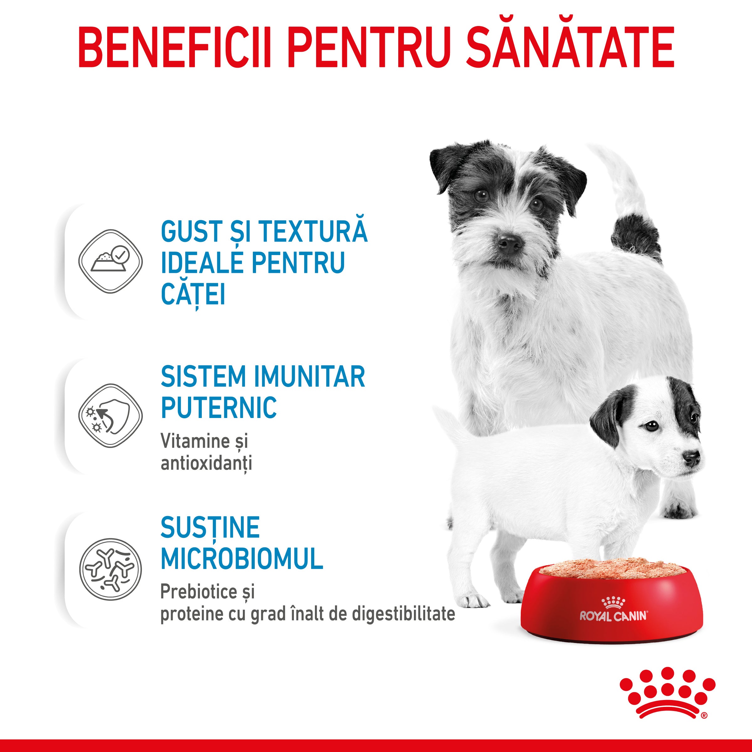 Royal Canin Starter Mousse, mama si puiul, hrana umeda caine 195g