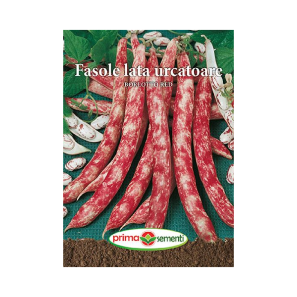 Seminte fasole urcatoare Borlotto Red 70g