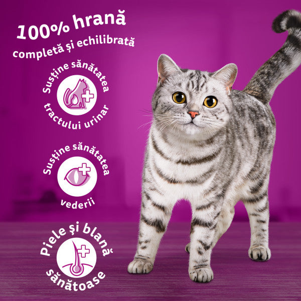 Whiskas Sterile hrana uscata cu somon pentru pisici adulte 1.4kg