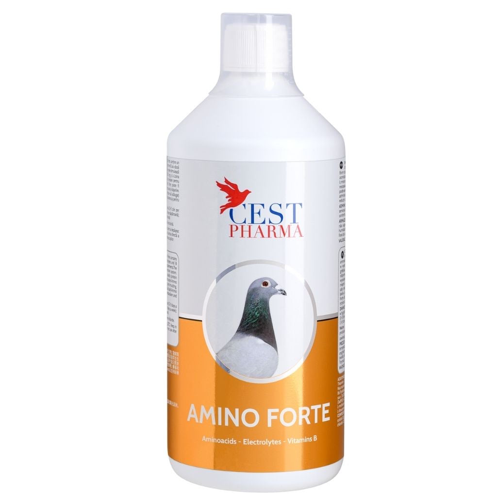 Supliment pentru porumbei, Amino Forte, Cest Pharma