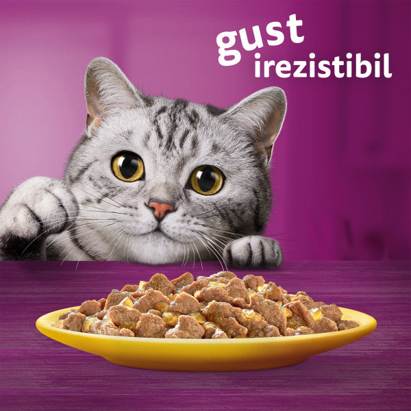 Whiskas hrana umeda pentru pisici adulte cu carne de pasare in aspic 12 x 85 g