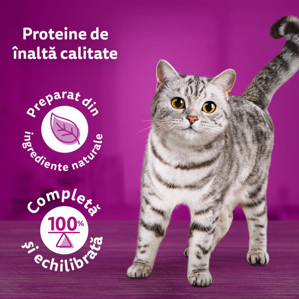 Whiskas Pure Delight hrana umeda pentru pisici adulte, cu pui in aspic