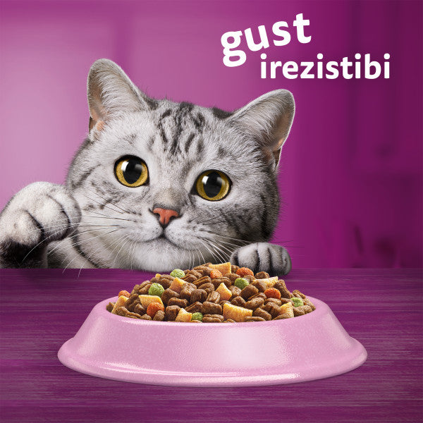 Whiskas Sterile hrana uscata cu somon pentru pisici adulte 1.4kg