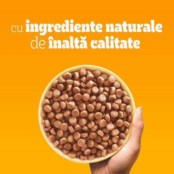 Pedigree hrana uscata cu pasare si legume pentru caini juniori de talie mica 1.4kg