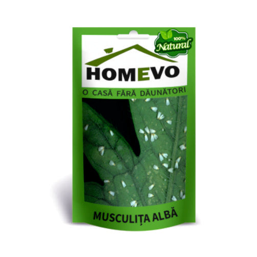 HOMEVO PULBERE BIO IMPOTRIVA MUSCULITEI ALBE, 50g