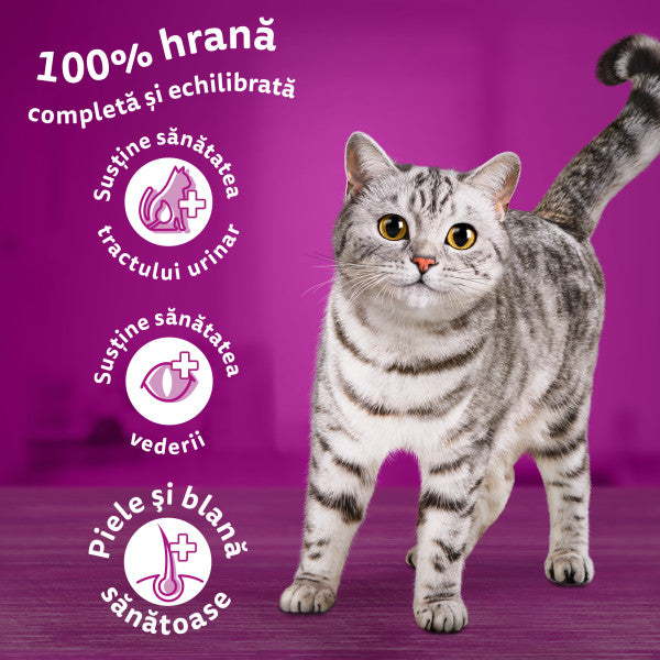 Whiskas hrana uscata cu ton pentru pisici adulte