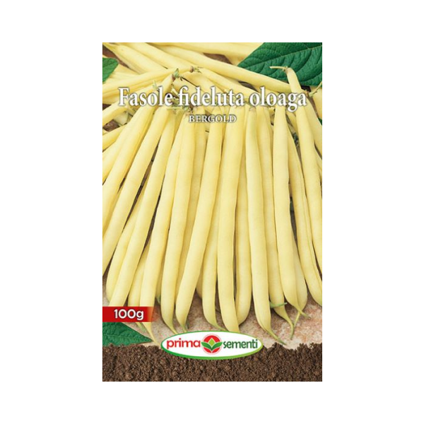 SEMINTE FASOLE OLOAGA BERGOLD 100g