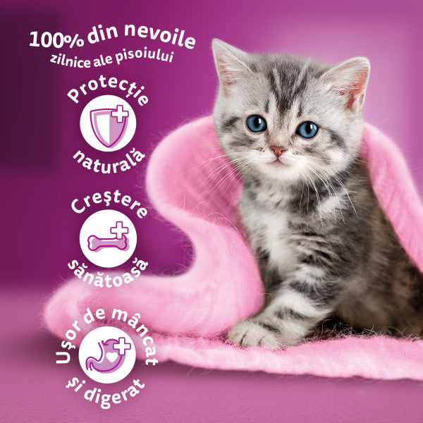 Whiskas Junior hrana umeda pentru pisici junioare, selectii clasice in sos de carne