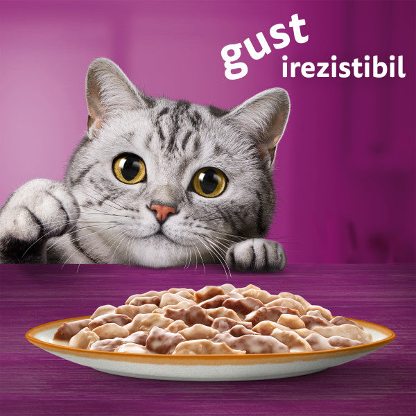 Whiskas Tasty Mix hrana umeda pentru pisici adulte, cu miel si curcan in sos