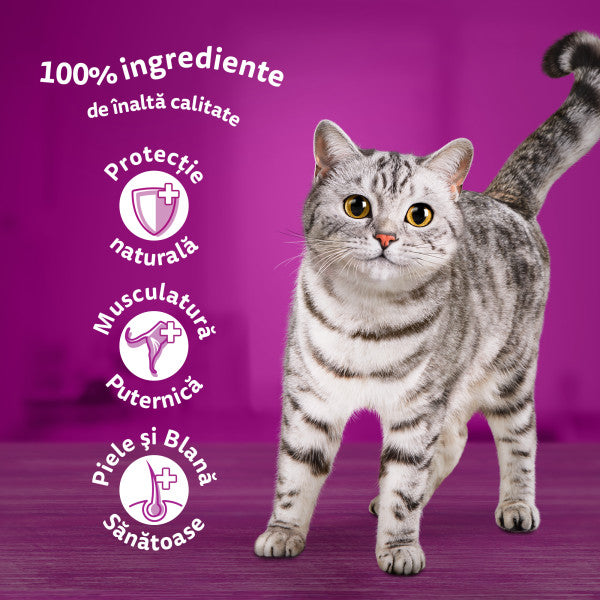 Whiskas hrana umeda pentru pisici adulte cu carne de pasare in aspic 12 x 85 g