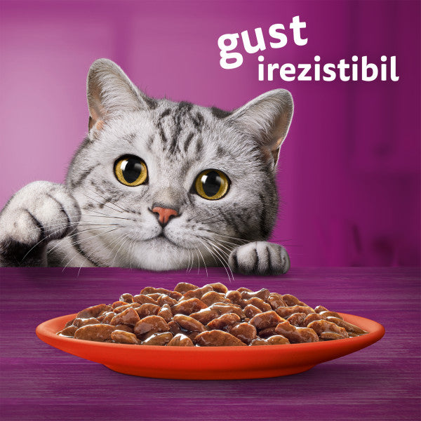 Whiskas hrana umeda pentru pisici adulte, selectii clasice in sos de carne 12 x 85 g